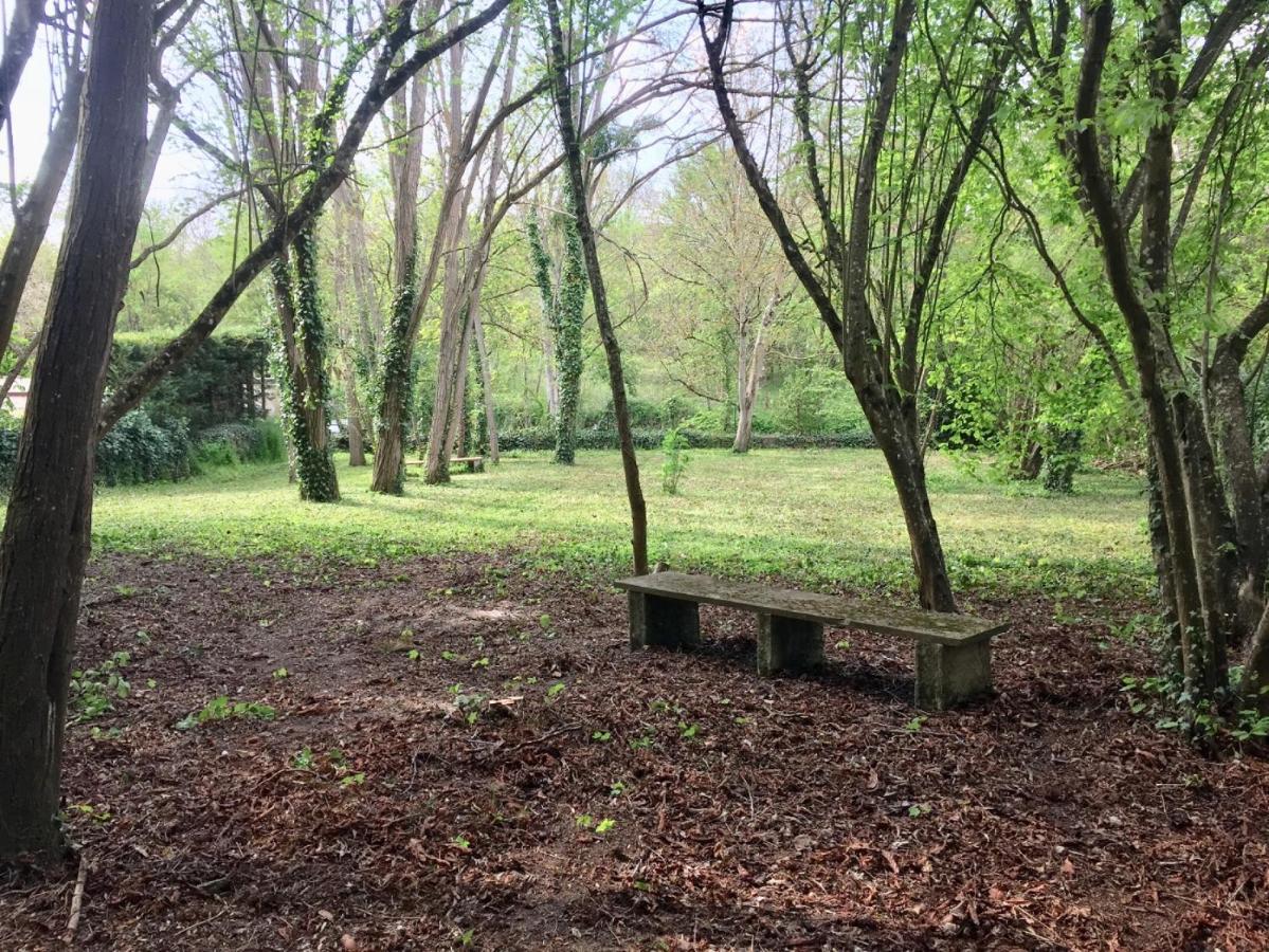 Meuble De Tourisme Dans Parc Arbore 1000m2 - Sejour-la-roche Eperon La Roche-Posay
